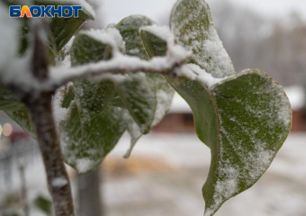 Погода в Ставрополе 22 декабря обрадует небольшим дождем и потеплением до +8