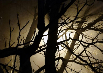 Известна погода в Ставрополе и крае на 15 ноября: густой туман и до +13 днем