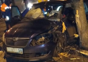Женщина на «Шкоде» врезалась в дерево в районе Ставропольского цирка