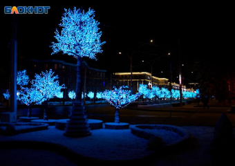 Светодиодные деревья в центре Ставрополя принесли ущерб бюджету на 30 миллионов