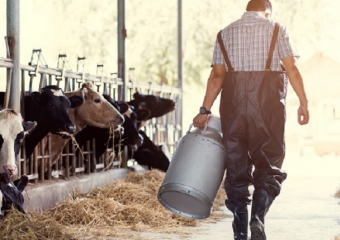 Ставропольские фермеры получили более 500 миллионов рублей на развитие 