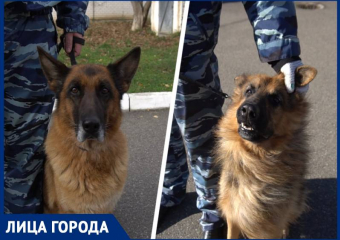 Разгрызли нарушителя, нашли героин и почесали за ушком: как «Блокнот» побывал в гостях у кинологов