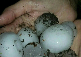 От града на Ставрополье пострадало уже 26 человек