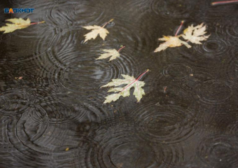 Штормовое предупреждение из-за угрозы ливней объявили на Ставрополье