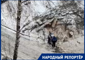 Вырубка деревьев на юге Ставрополя вызвала беспокойство у местных жителей