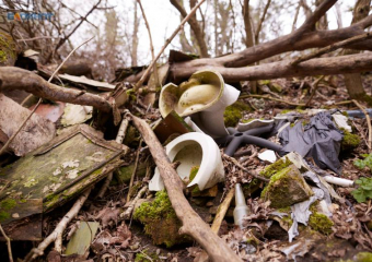 На 53 месте оказалось Ставрополье в экологическом рейтинге российских регионов