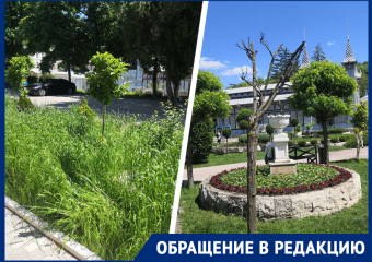Пятигорский парк «Цветник» готов встречать туристов заросшей травой и голыми деревьями