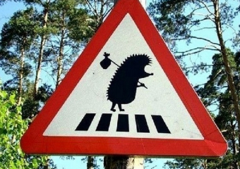 Новые дорожные знаки появятся на дорогах Ставрополья