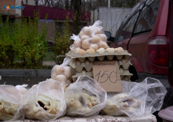 Стоимость куриных яиц не должна возрасти на Ставрополье к Пасхе