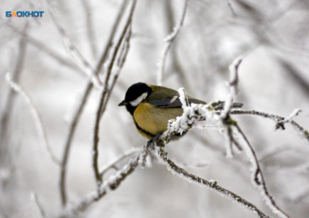Жителей Ставрополья ждут морозы до -9 градусов и гололедица 17 декабря 