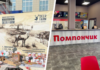 Разрекламированное мэром Невинномысска кафе и скандальная оленья ферма могли быть построены на грязные деньги