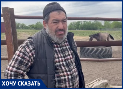 Работник скандально известной конюшни на Ставрополье рассказал свою версию событий