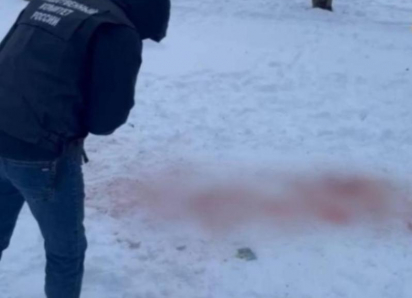 Нагоняй губернатору, иск на 4 миллиона и уголовные дела: поставили точку в деле убитой собаками в Ставрополе девочки