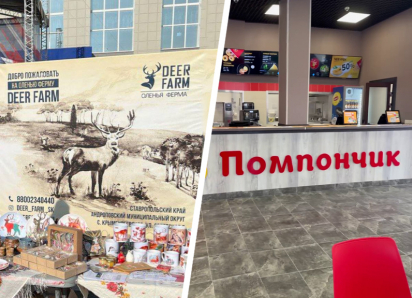 Разрекламированное мэром Невинномысска кафе и скандальная оленья ферма могли быть построены на грязные деньги