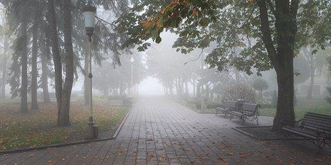 Восьмого марта на Ставрополье ожидается туман и морось