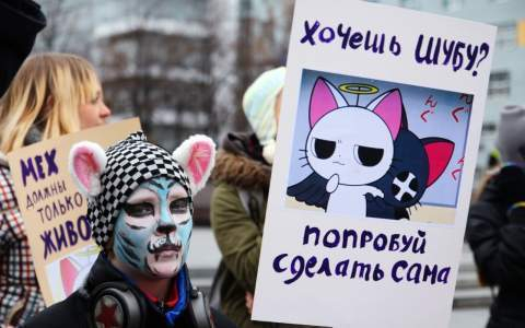 В Ставрополе активисты выступят против убийства животных ради меха