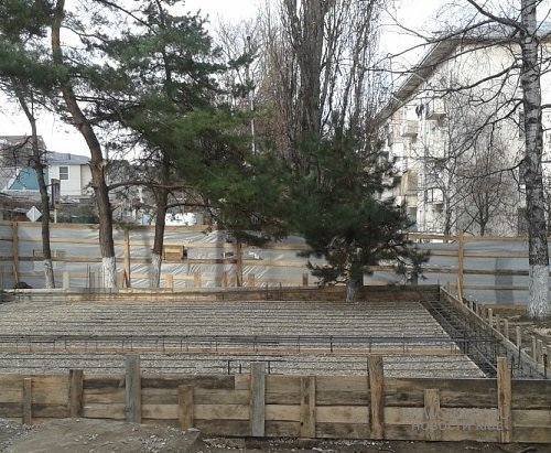 В Кисловодске строители «похоронили» дерево под слоем бетона