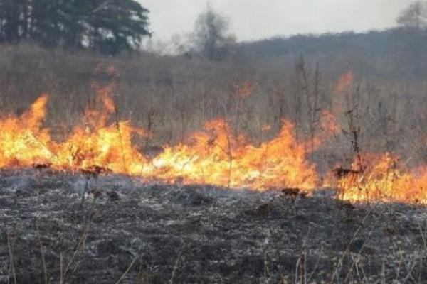 Чрезвычайная пожароопасность снова ожидается на Ставрополье