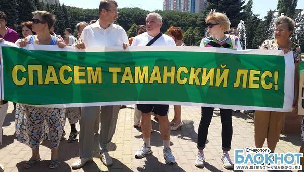 В Ставрополе прошел митинг против вырубки деревьев в Таманском лесу