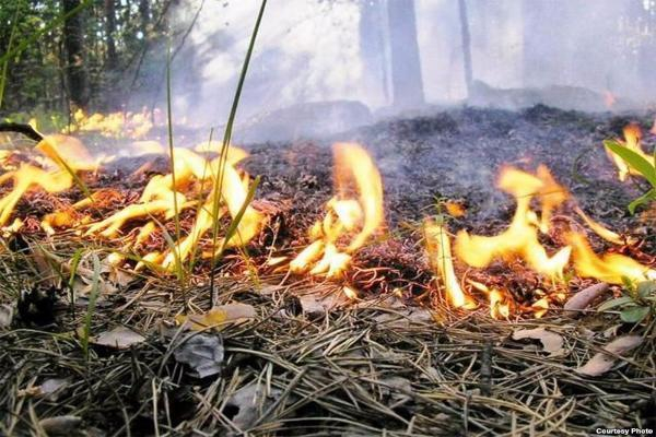 Чрезвычайная пожароопасность ожидается на выходных в Ставропольском крае