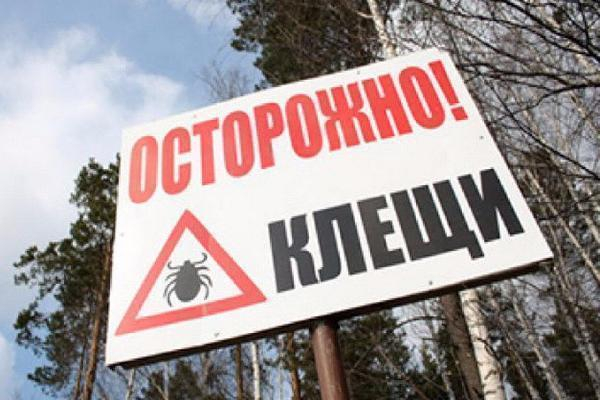 На Ставрополье начинается эпидсезон Крымской геморрагической лихорадки