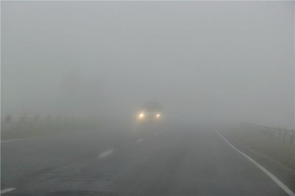 Пятница на Ставрополье будет туманной и ветреной