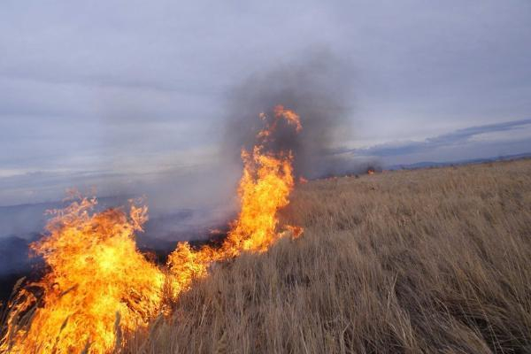Пожары и шквалистый ветер ожидаются в Ставропольском крае