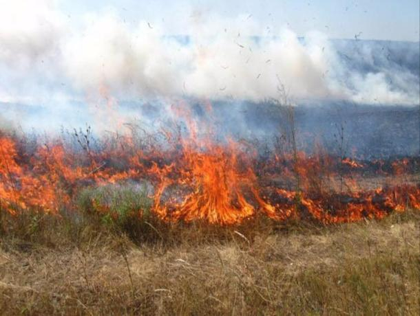 На Ставрополье 20 полей сгорели