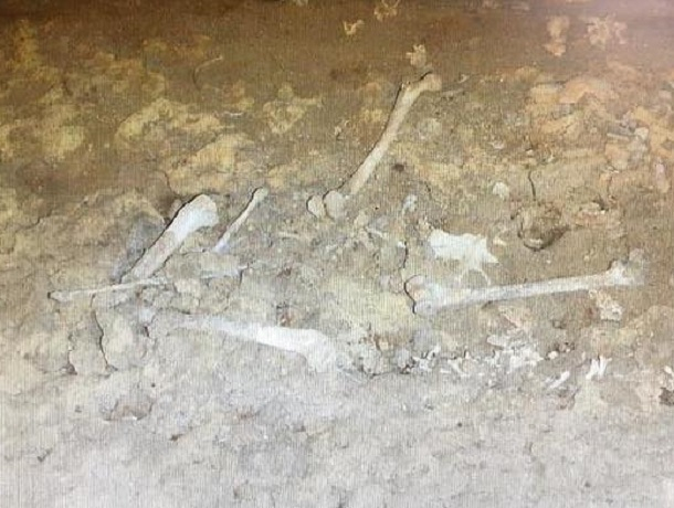 Человеческие останки в собственном водоеме обнаружил житель Ставрополья