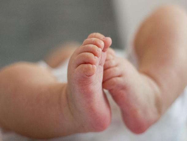 На Ставрополье следователи выясняют причину смерти новорожденного