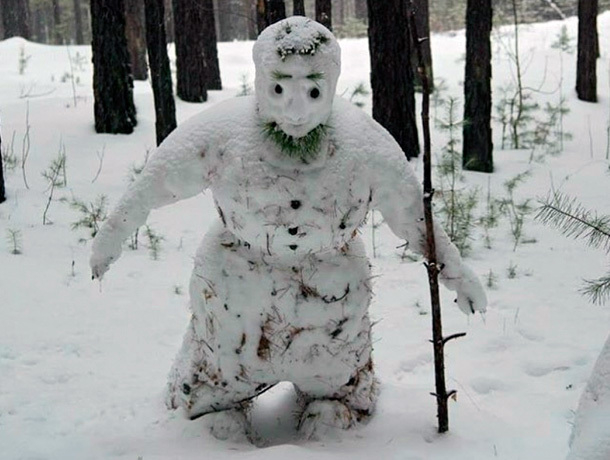 В лесах Ставрополя замечен «Снежный человек»