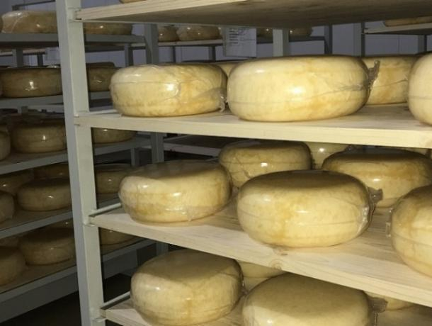 50 тонн контрафактного сыра изъяли на Ставрополье