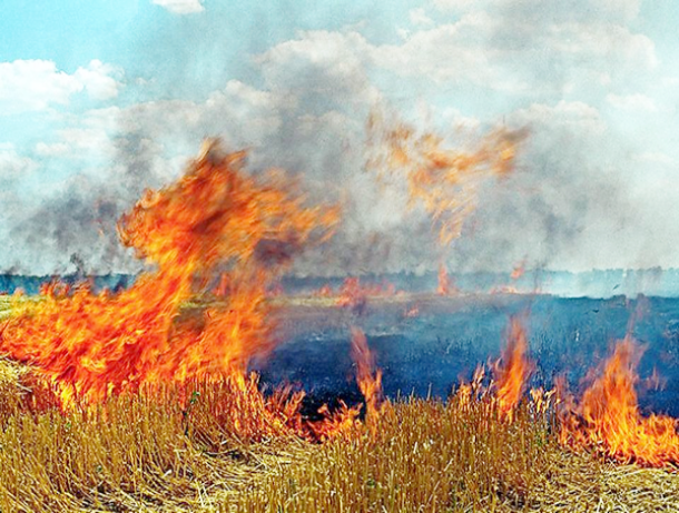 Во время уборки зерновых произошел 31 пожар на Ставрополье