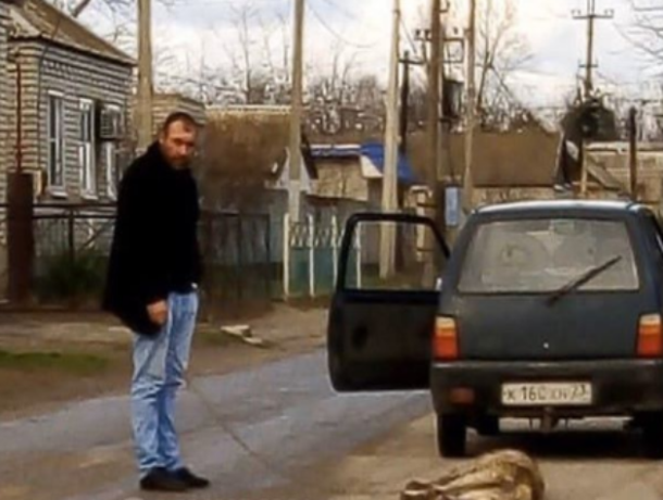 Живодер привязал собаку к движущемуся авто на Ставрополье