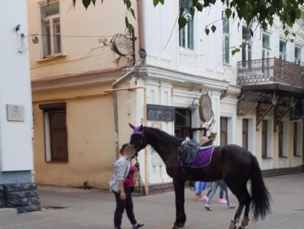 Штраф в 100 тысяч рублей получила предпринимательница за падение 5-летней девочки с лошади в Ставрополе