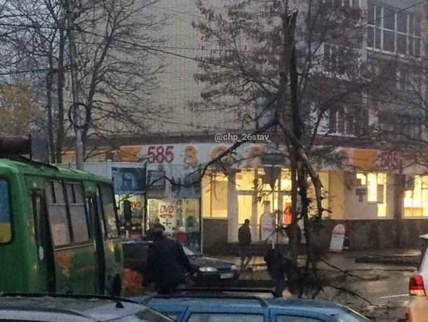 Рухнувшее дерево повисло на проводах над дорогой и попало на видео в Ставрополе