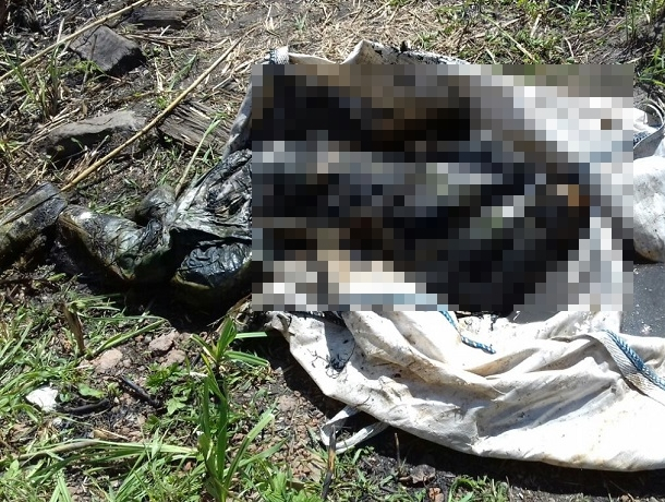 Труп неизвестного мужчины обнаружили спасатели в болоте на Ставрополье