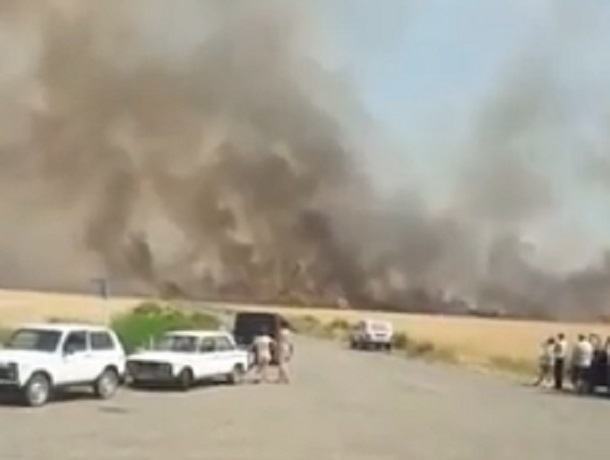 Сильный пожар в пшеничных полях попал на видео в Ставропольском крае
