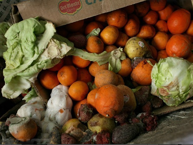 Более 220 кг овощей сняли с продажи за нарушения на Ставрополье
