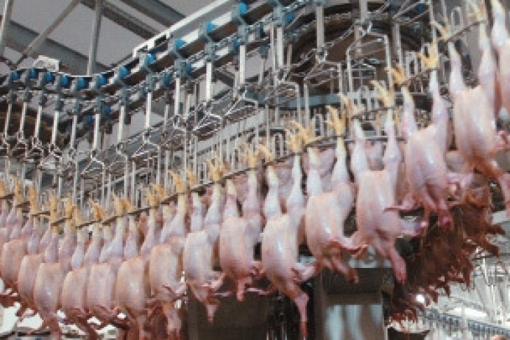Двум ставропольским компаниям разрешили поставлять мясо в ОАЭ