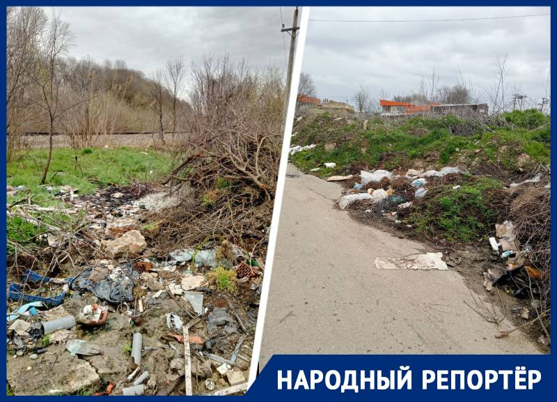 Свалку из бытового мусора и сухостоя запечатлели жители Михайловска
