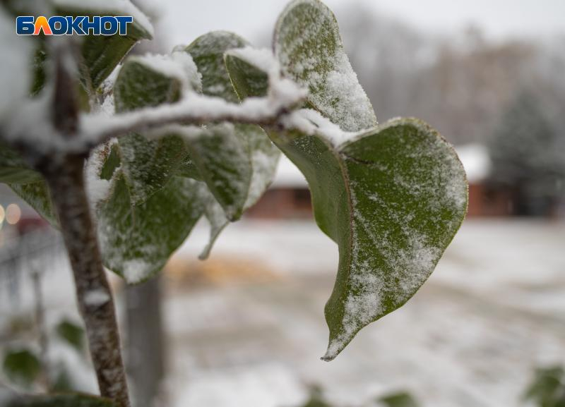 Заморозки до минус 12 градусов и снег придут в Ставрополь на следующей неделе