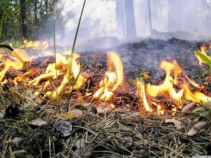 МЧС предупреждает о повышенной пожароопасности на Ставрополье