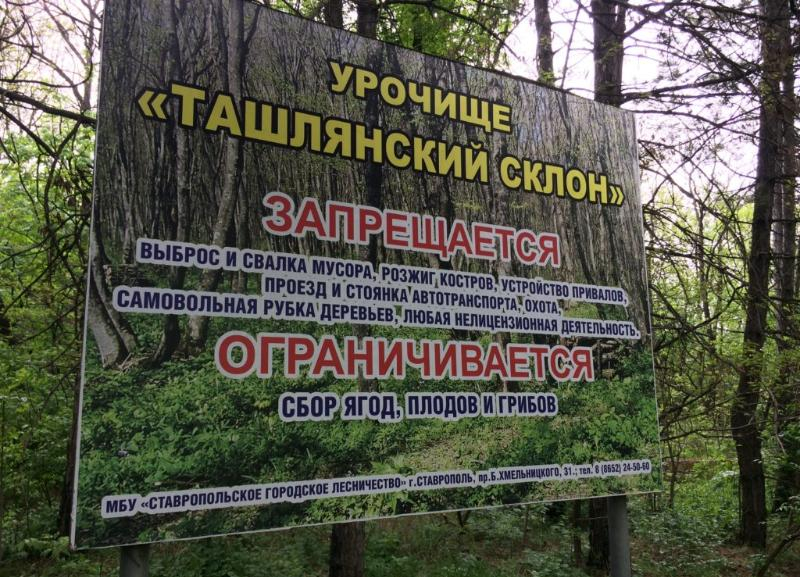 В Ташлянском урочище вырубят деревья для ремонта канализации Ставрополя
