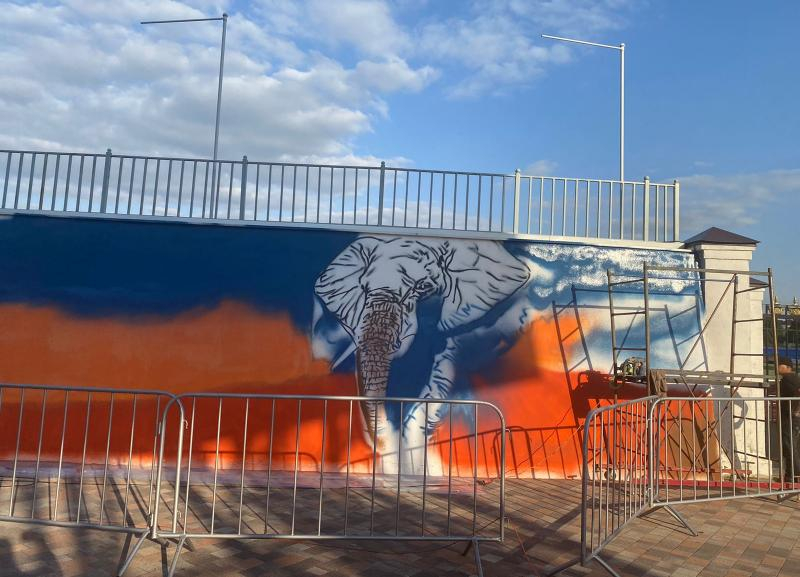 На стену стадиона в Ставрополе вернули граффити со слоном