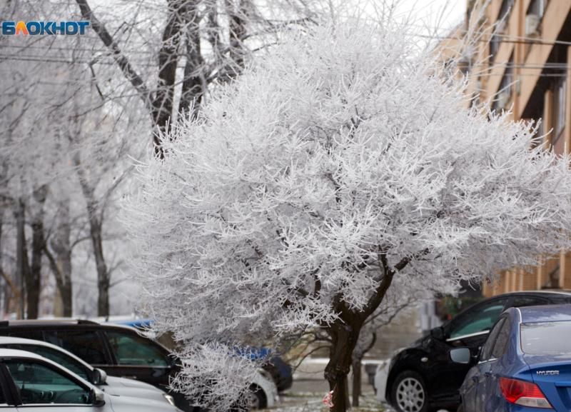 Снег, метель и ветер взбудоражат ставропольцев в начале следующей недели