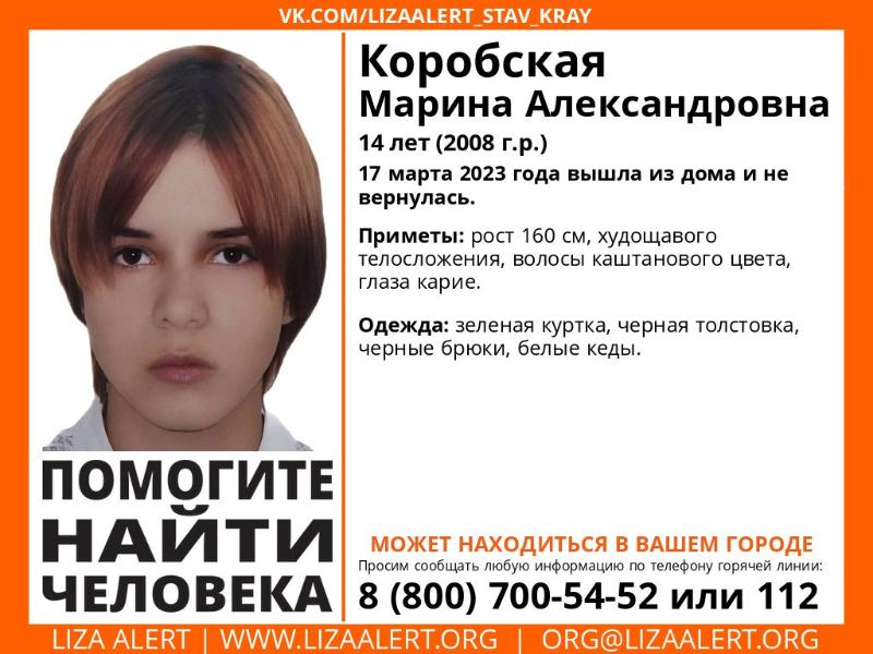 На Ставрополье пропала 14-летняя девочка