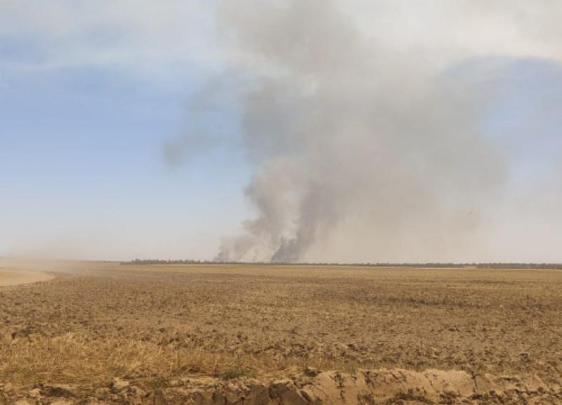 Пшеничные поля площадью 50 гектаров загорелись в селе Новоселицком