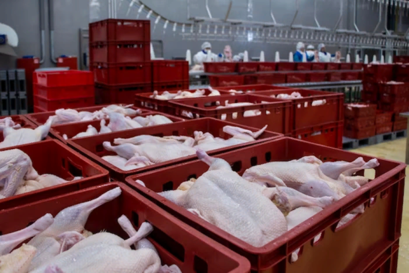 Казахстан вводит усиленный контроль в отношении куриного мяса из Ставрополья