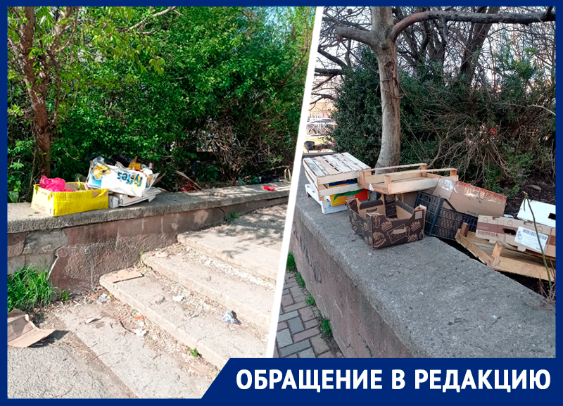 Мусорные кучи и гнилые остатки овощей от нелегального рынка замучили жителей юга Ставрополя